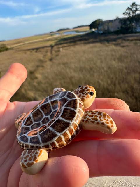 Checkerboard Tortoise