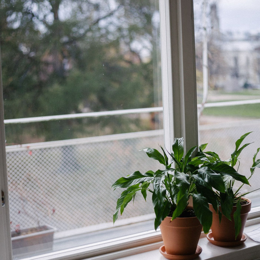 Checkerboard Plant Pot