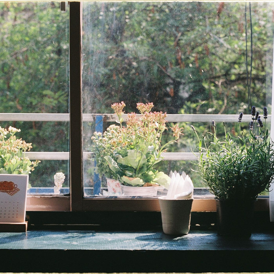 Big Orange Floor Planter