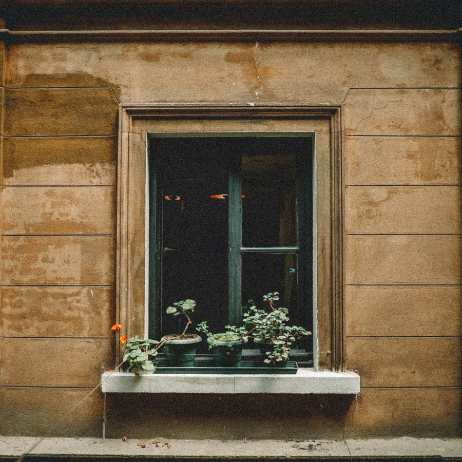 Lemon Crate Window Box